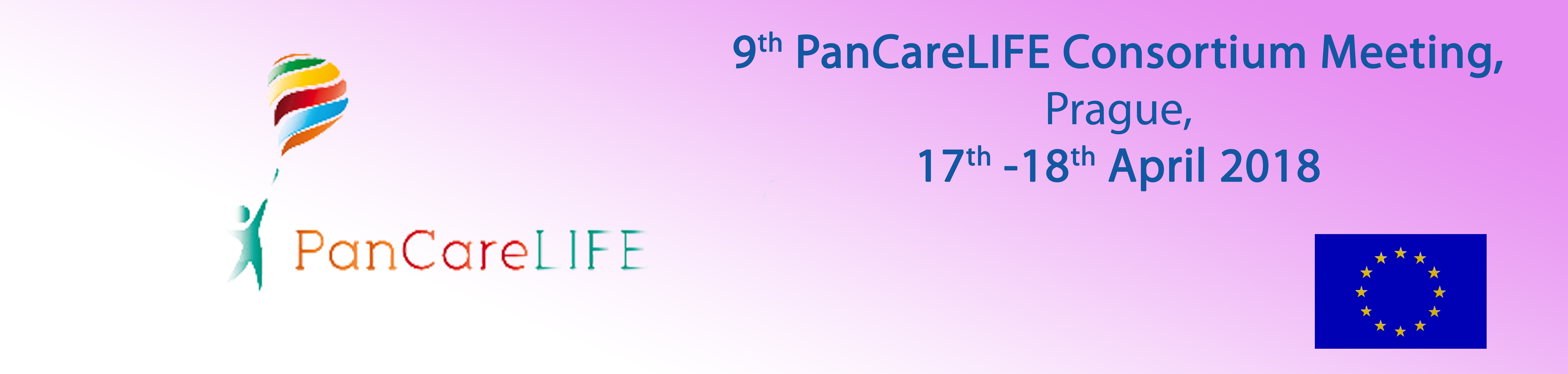9th PanCareLIFE Consortium meeting